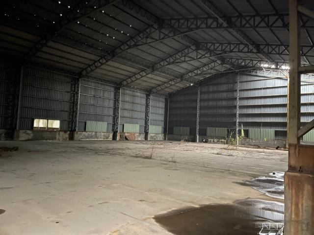 高雄林園廠房-1