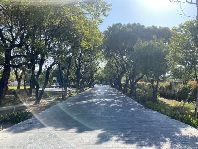 高雄路竹透天-1