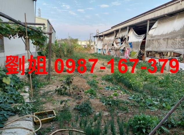 高雄仁武廠房-0