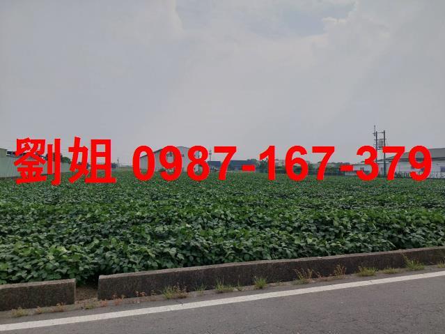 高雄大寮廠房-0