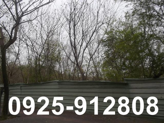 高雄大樹廠房-0