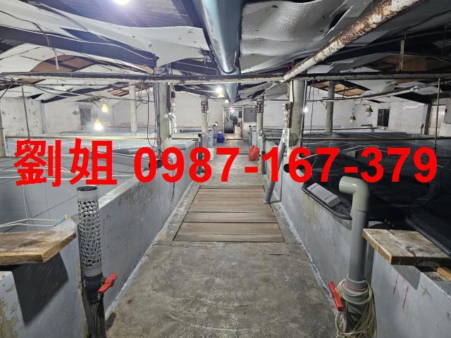 高雄林園廠房-0