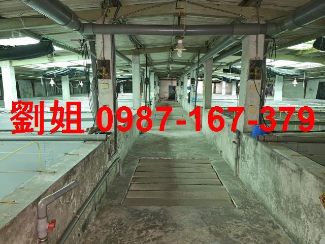 高雄林園廠房-0