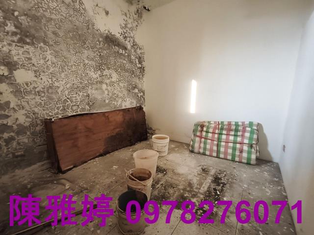 高雄湖內透天-11