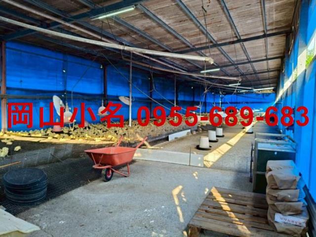 高雄阿蓮農舍-1