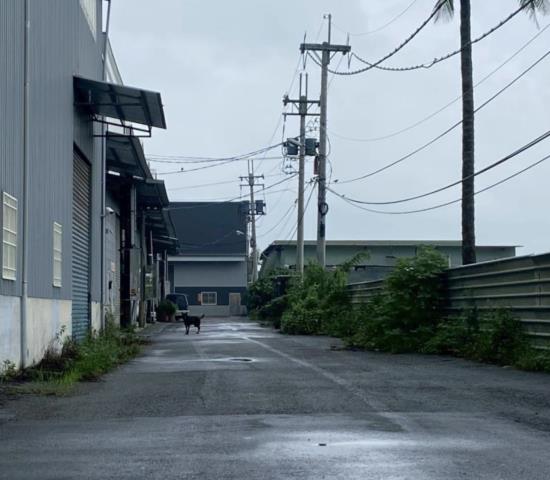 高雄大社廠房-0