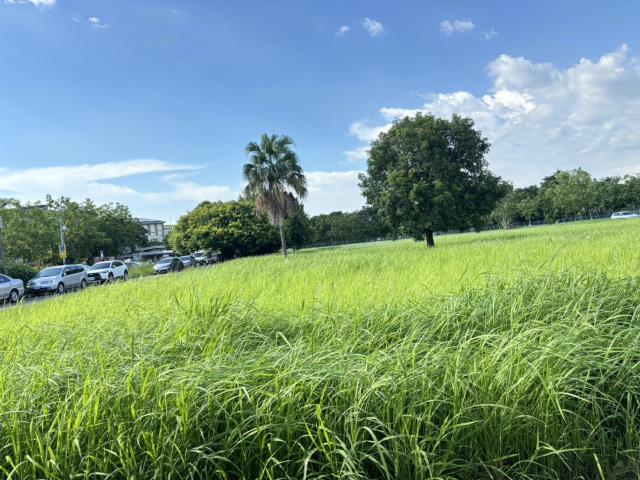 高雄岡山透天-2