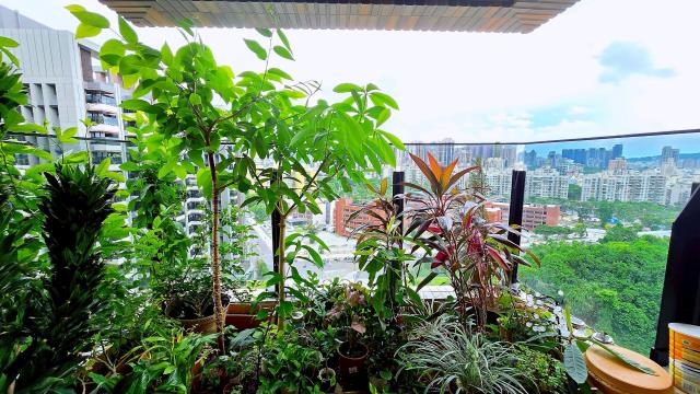 高雄左營大樓-12