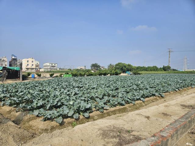 高雄路竹農舍-0