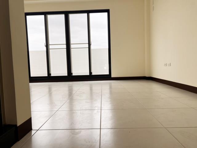 高雄湖內透天-4