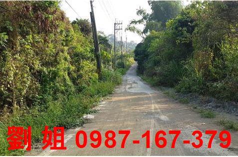 高雄仁武農地-1