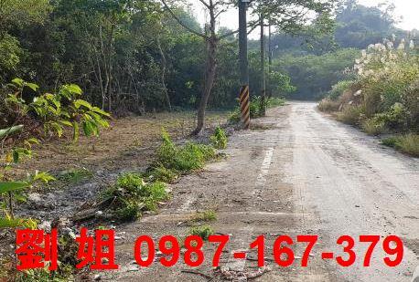 高雄仁武農地-0