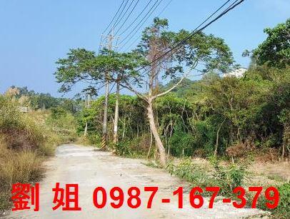 高雄仁武農地-0