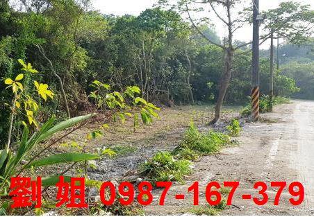 高雄仁武農地-1