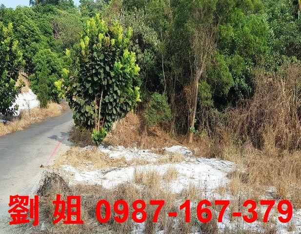 高雄仁武農地-1