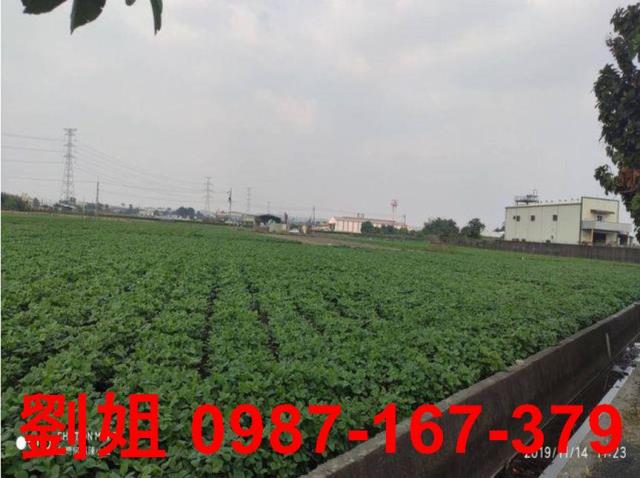 高雄大寮農地-0
