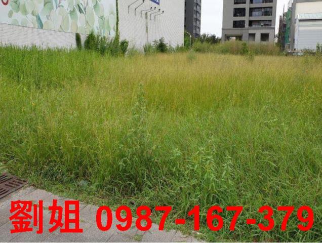 楠梓建地-0