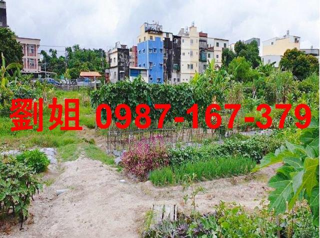 高雄大寮農地-4