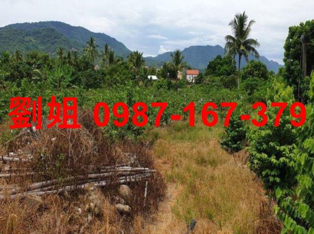 高雄杉林農地-0