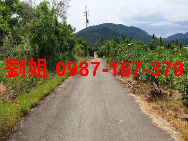 高雄杉林農地-1