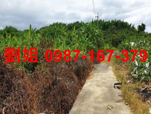 高雄杉林農地-2