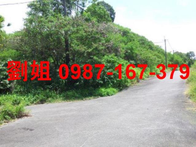 高雄燕巢農地-0