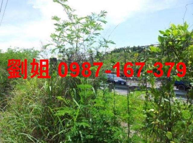 高雄燕巢農地-1