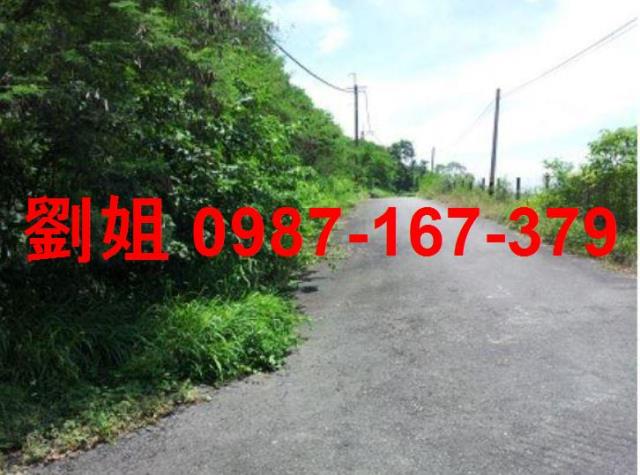 高雄燕巢農地-2