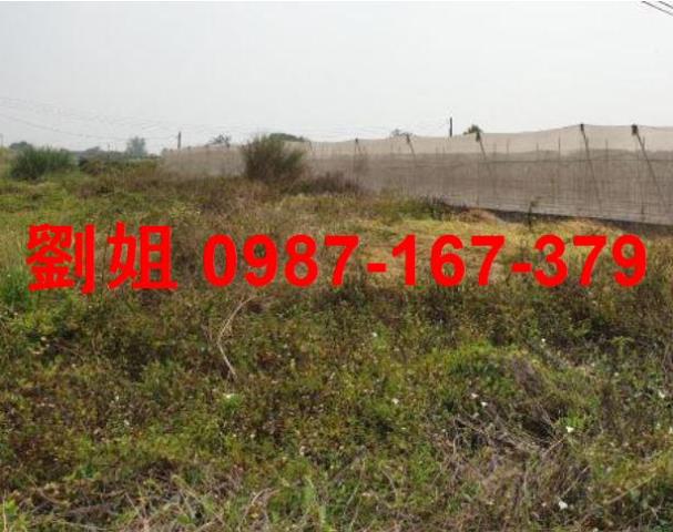 高雄大樹農地-0