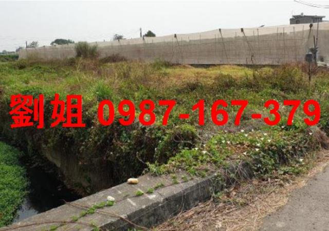 高雄大樹農地-1