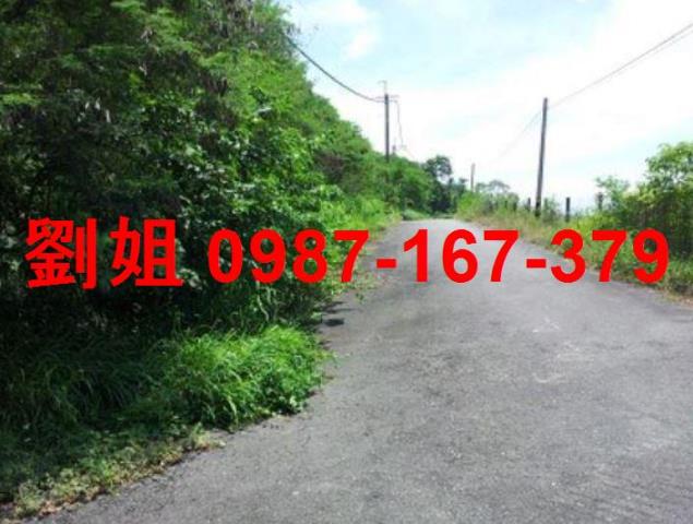 高雄燕巢農地-0