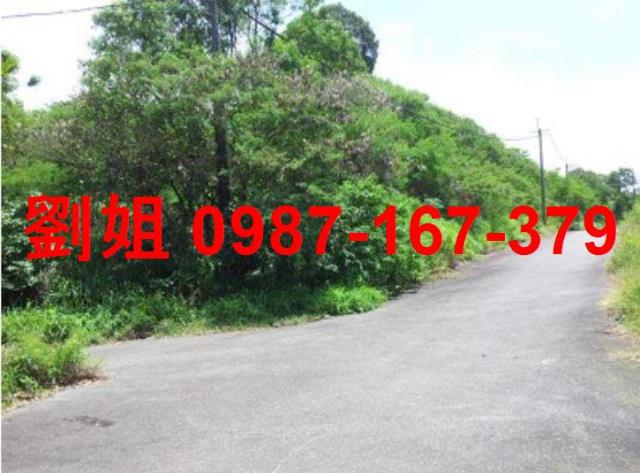 高雄燕巢農地-1