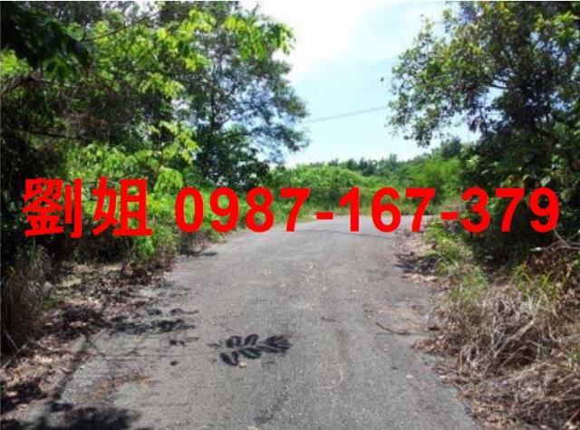 高雄燕巢農地-2