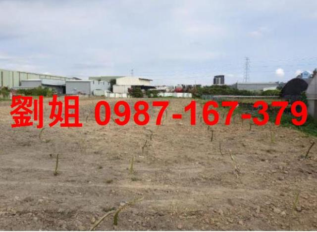 高雄仁武農地-0