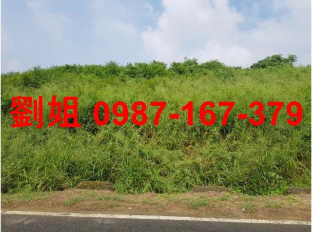 高雄鳥松農地-0