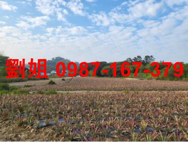 高雄仁武農地-0