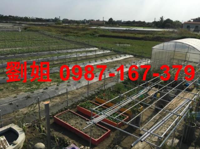 高雄美濃農地-0