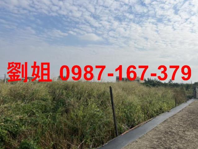 高雄路竹農地-0