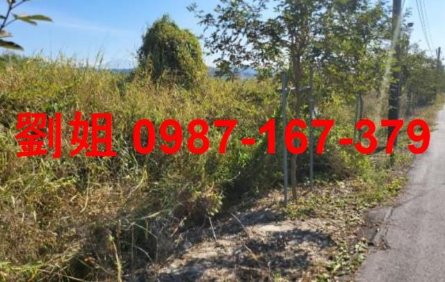 高雄燕巢農地-2