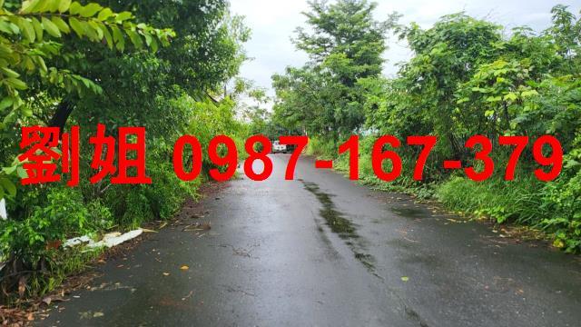 高雄大樹農地-0