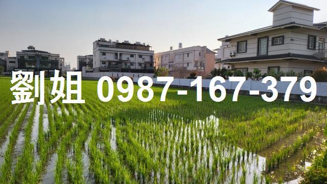 高雄美濃建地-0