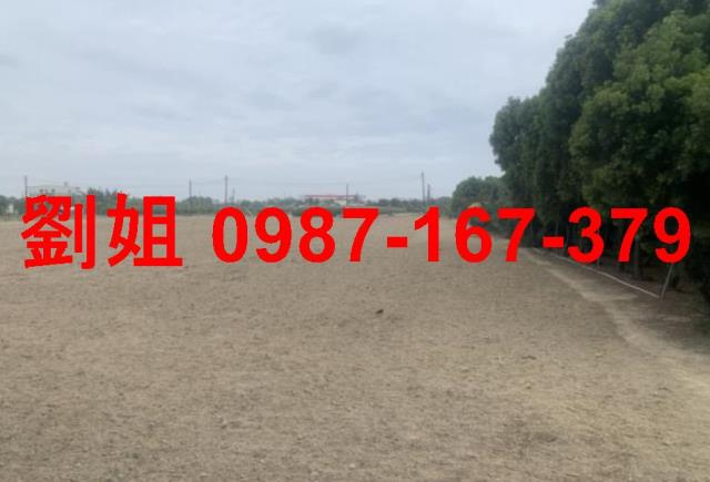 高雄岡山農地-0