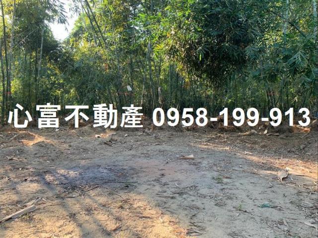 高雄仁武農地-1