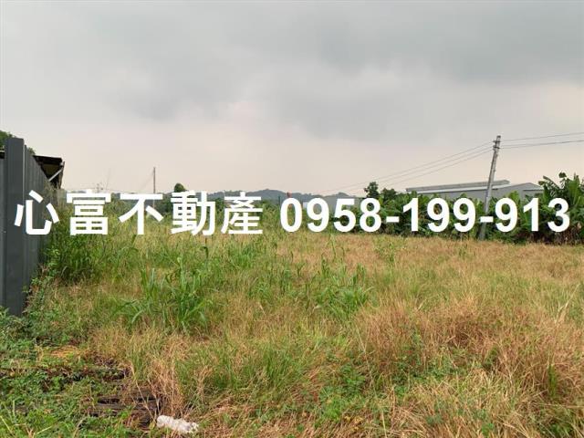 高雄仁武農地-0