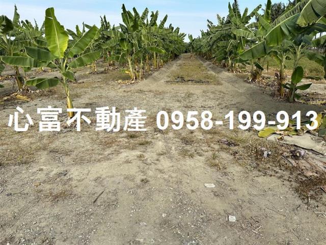 高雄農地-0
