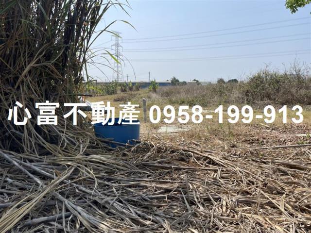 高雄路竹農地-1