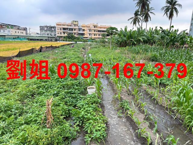 高雄林園建地-0