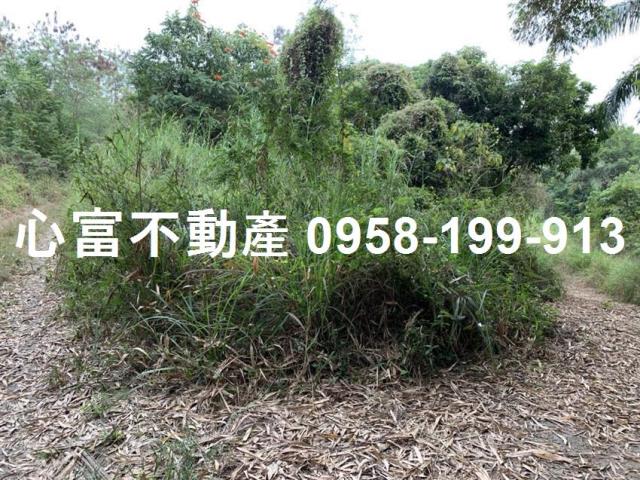 高雄燕巢農地-1