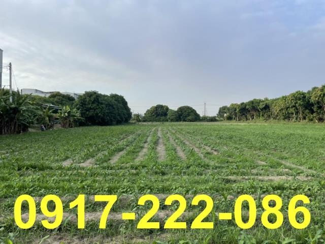 高雄岡山農地-0