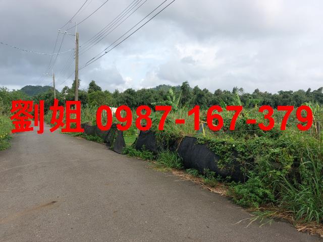 高雄大社農地-1